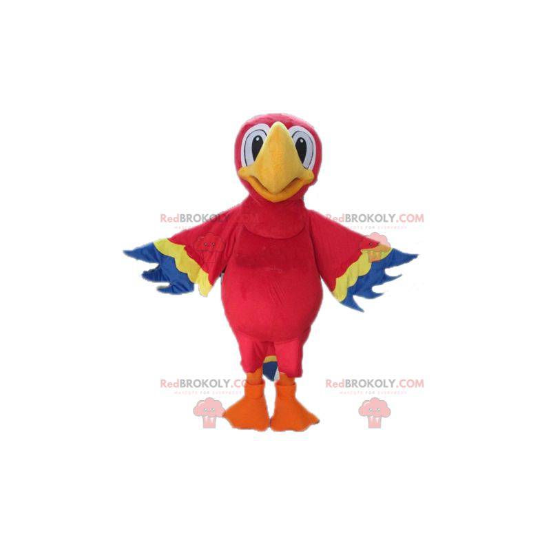Gigantyczna czerwona żółta i niebieska papuga maskotka -