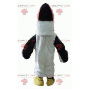 Mascot beautiful black and red white bird with a large beak -