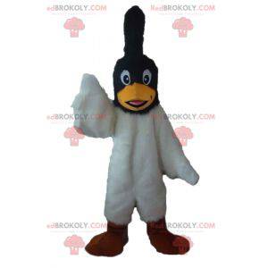 Black and white bird mascot with a crest on the head -