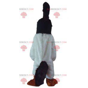 Black and white bird mascot with a crest on the head -