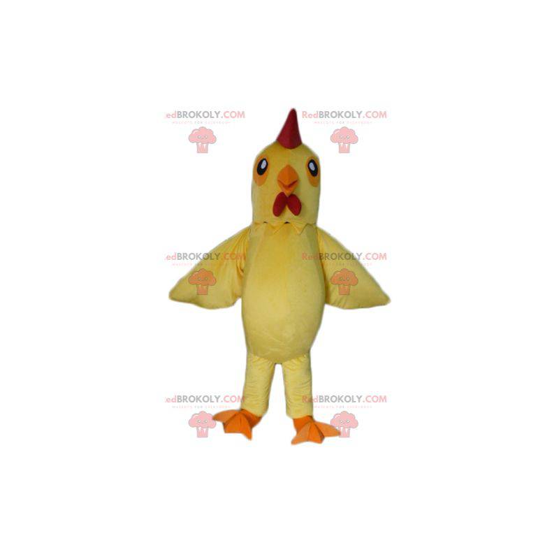 Gigante gallo giallo e rosso gallina mascotte - Redbrokoly.com