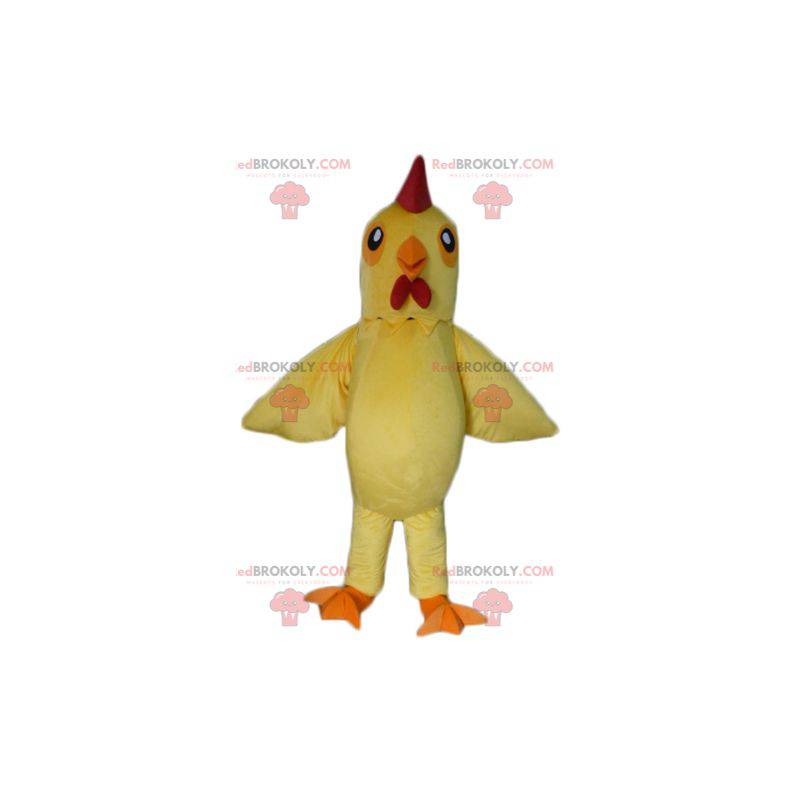 Mascotte de poule jaune et rouge de coq géant - Redbrokoly.com