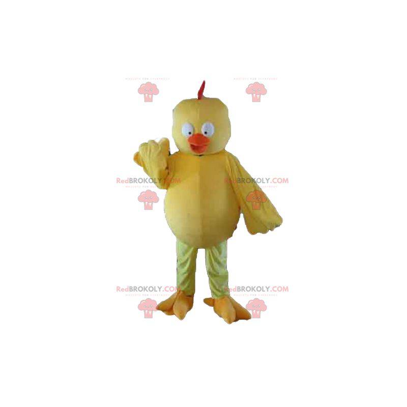 Mascotte de gros poussin jaune et orange dodu et mignon -