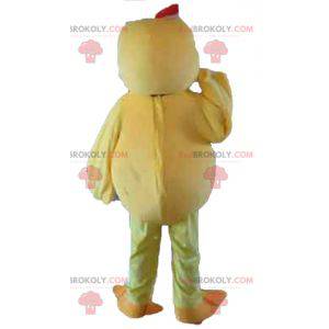 Mascot big yellow and orange chick plump and cute -