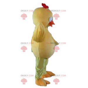 Maskot stor gul og orange kylling fyldig og sød - Redbrokoly.com