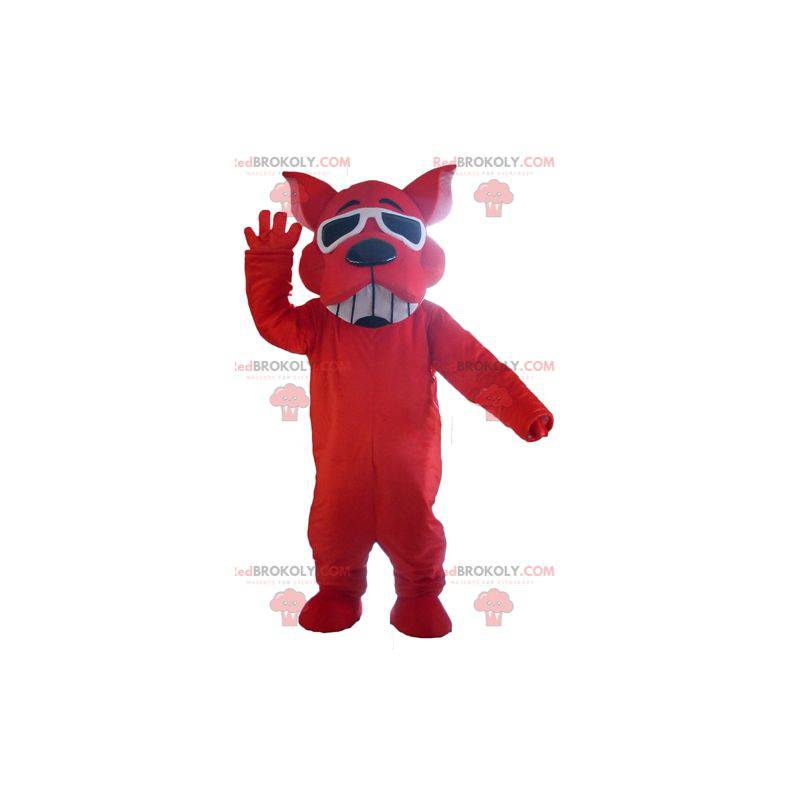 Rotes Hundemaskottchen, das mit Sonnenbrille lächelt -
