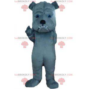 Gray dog mascot looking fierce - Redbrokoly.com