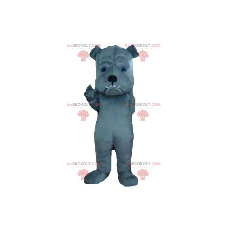 Mascotte de chien gris à l'air farouche - Redbrokoly.com