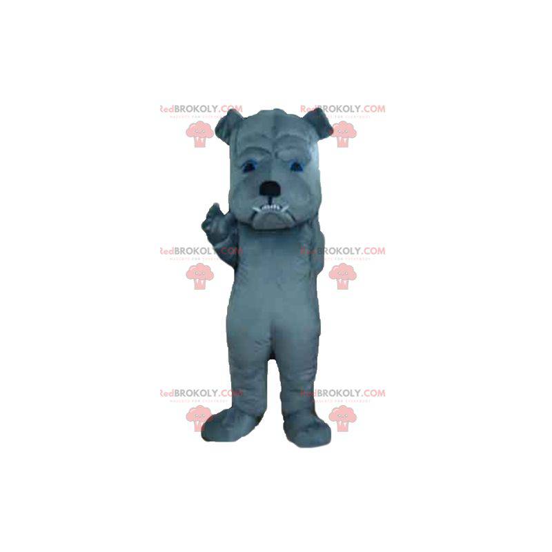 Šedý pes maskot divoce hledá - Redbrokoly.com Šedý pes maskot divoce hledá - Redbrokoly.com