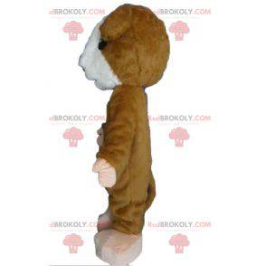 Měkký a chlupatý hnědý a bílý křeček maskot - Redbrokoly.com
