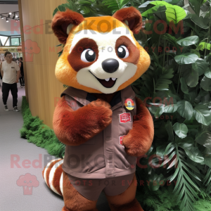 Brun rød panda maskot...