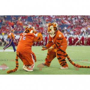 2 mascots of black and white orange tigers - Redbrokoly.com