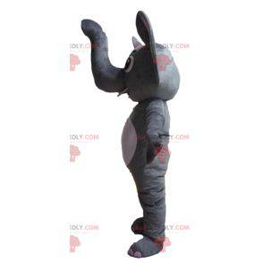 Rolig och original grå och vit elefantmaskot - Redbrokoly.com
