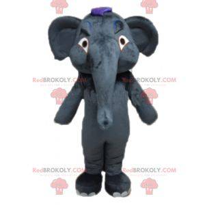 Mascotte elefante grigio gigante e completamente