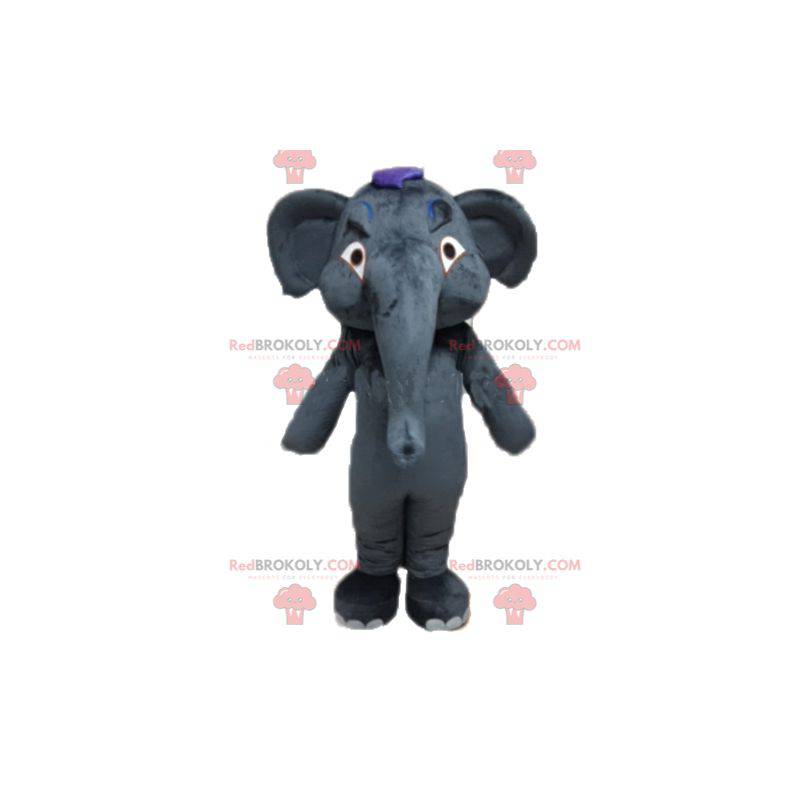Gigantisk og fullt tilpassbar grå elefantmaskot - Redbrokoly.com