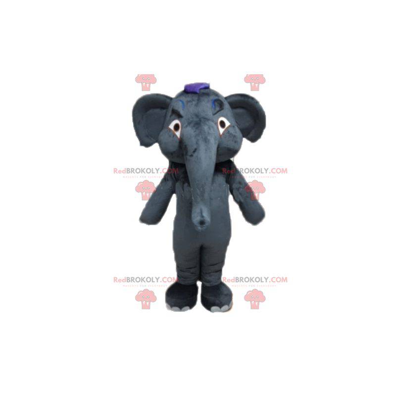 Mascota elefante gris gigante y totalmente personalizable - Mascota elefante gris gigante y totalmente personalizable -