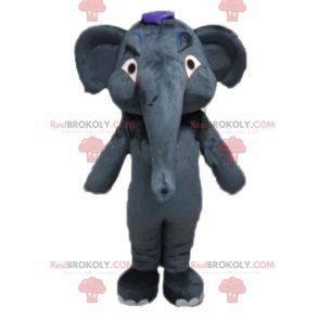 Mascotte elefante grigio gigante e completamente