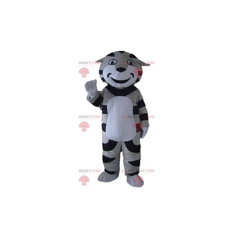Grå svart och vit tabby katt tiger maskot - Redbrokoly.com