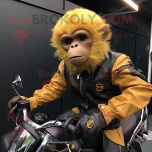 Gold Capuchin Monkey maskot...