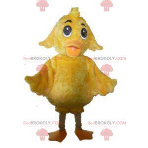 Mascota de pollito amarillo gigante dulce y lindo -