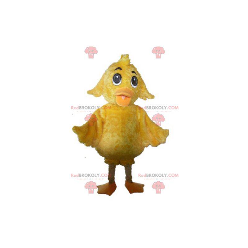 Mascota de pollito amarillo gigante dulce y lindo -