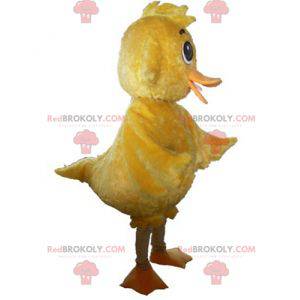 Søt og søt gigantisk gul kyllingmaskott - Redbrokoly.com