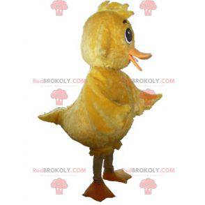 Mascota de pollito amarillo gigante dulce y lindo -