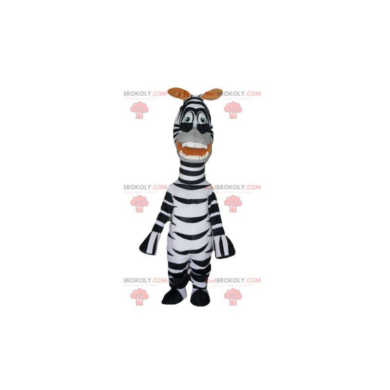 Mascote da famosa zebra Marty do desenho animado Madagascar -