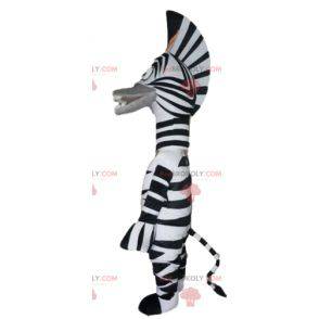 Mascote da famosa zebra Marty do desenho animado Madagascar -