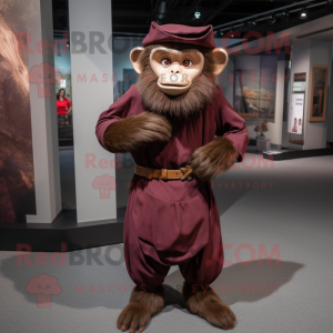 Rödbrun Capuchin Monkey...