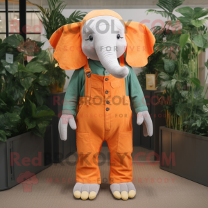 Orange Elephant maskot...