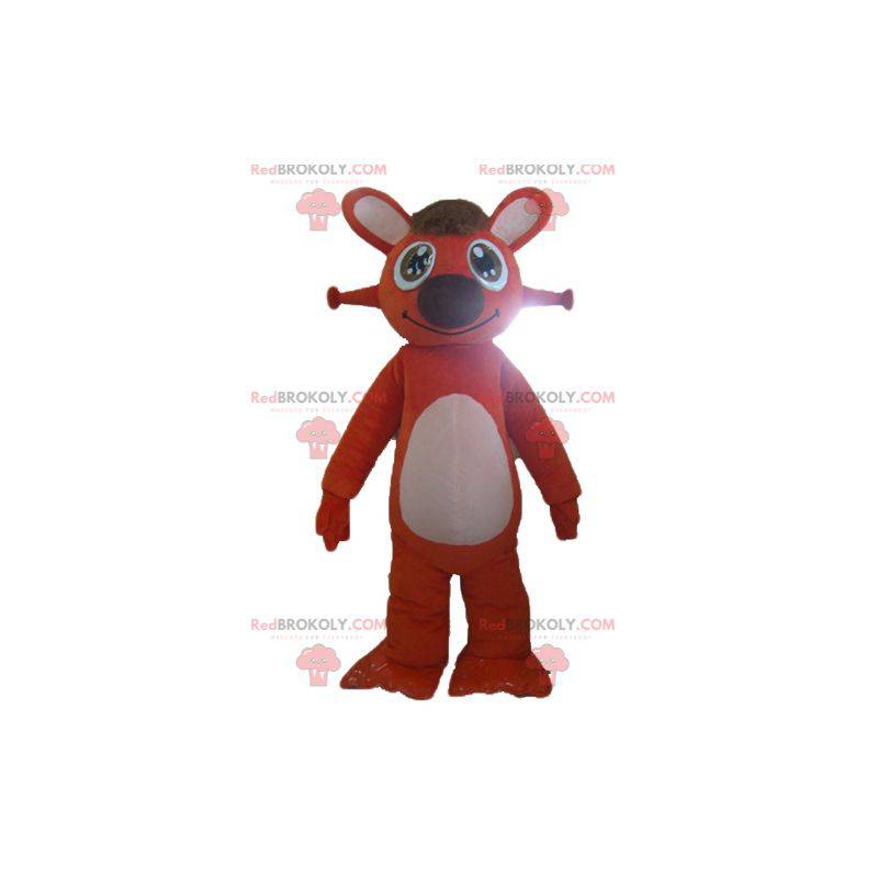 Velmi roztomilý a usměvavý maskot oranžového a bílého králíka - Velmi roztomilý a usměvavý maskot oranžového a bílého králíka -