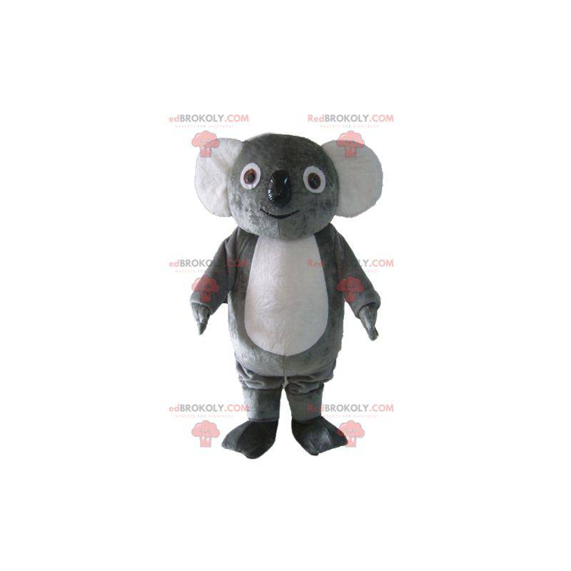 Mascote coala macio e engraçado, rechonchudo, cinza e branco -