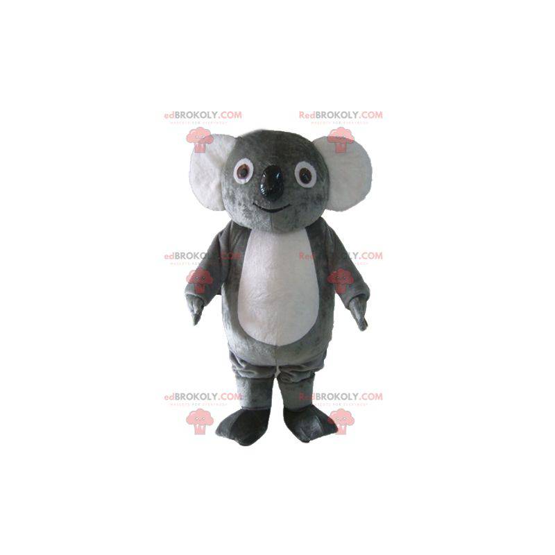 Soft and funny plump gray and white koala mascot -