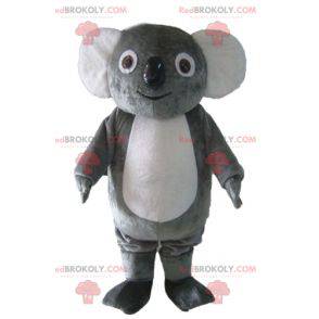 Mascotte koala grigio e bianco paffuto morbido e divertente -