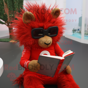 Red Porcupine mascot costume character dressed with a Playsuit and Reading glasses