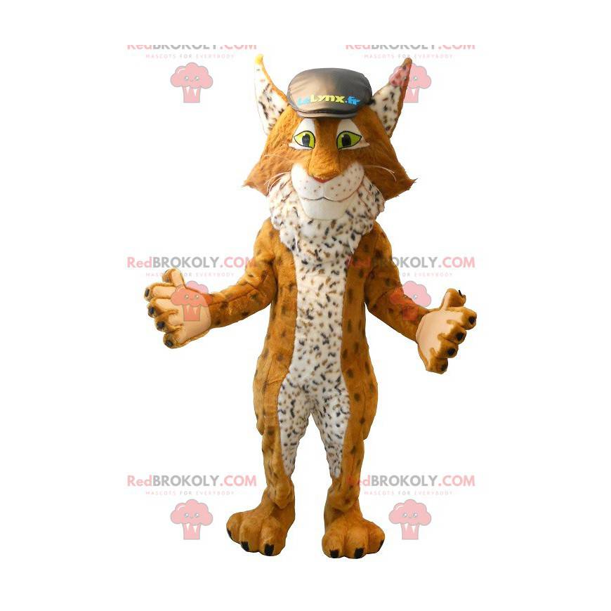 Mascotte de lynx célèbre mascotte du comparateur d'assurance -