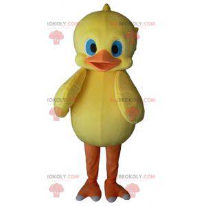 Yellow and orange chick mascot with blue eyes - Redbrokoly.com