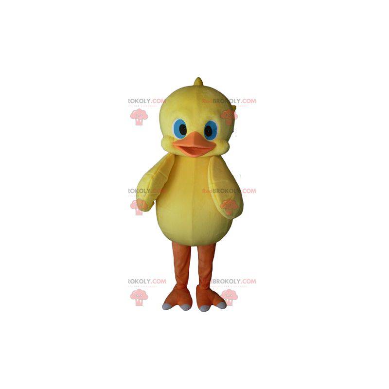 Žluté a oranžové kuřátko maskot s modrýma očima - Redbrokoly.com