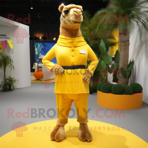 Yellow Camel mascot costume character dressed with a Bermuda Shorts and Wraps