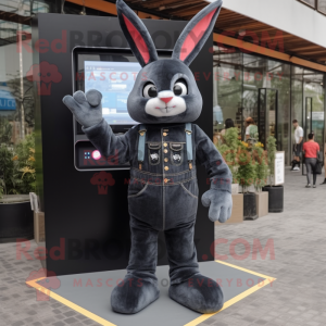 Black Rabbit mascotte...