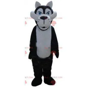 White and black wolf mascot looking fierce - Redbrokoly.com