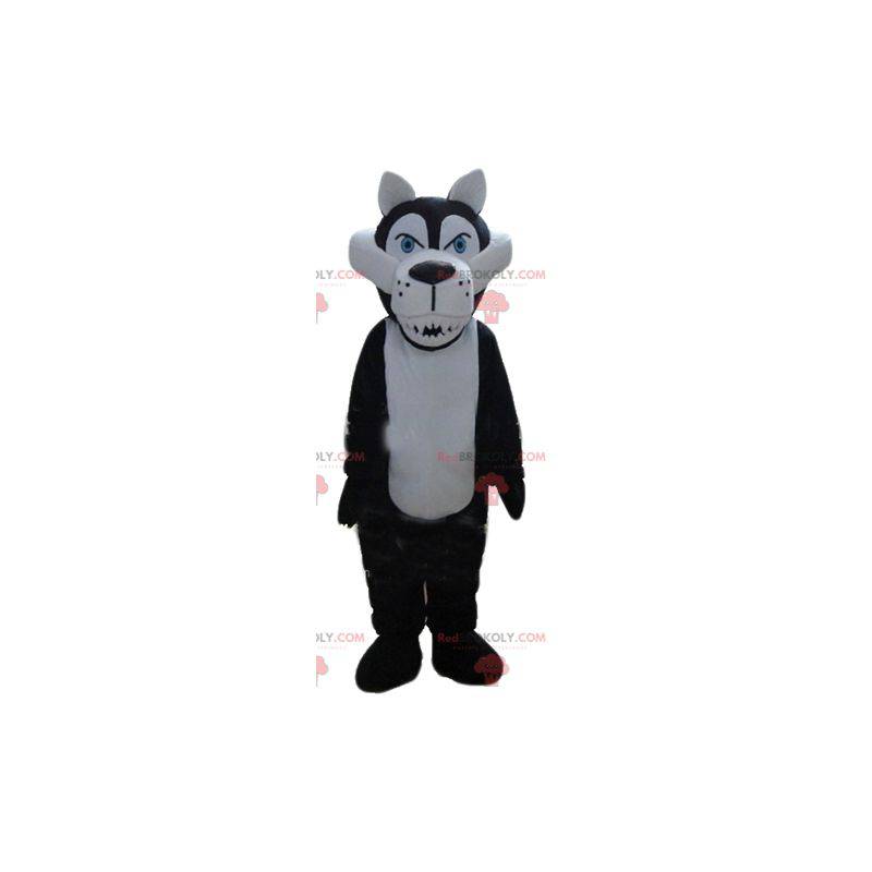 Mascotte lupo bianco e nero che sembra feroce - Redbrokoly.com