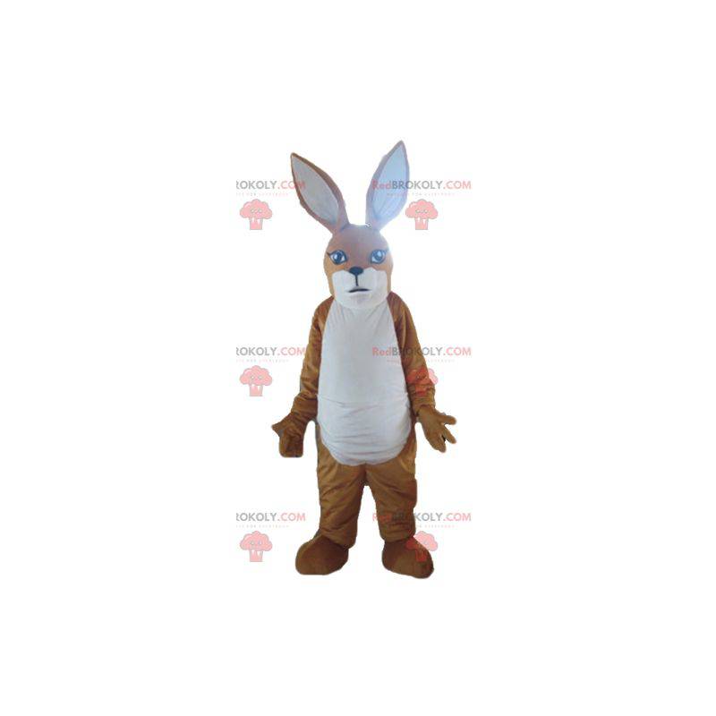 Coelho mascote canguru marrom e branco - Redbrokoly.com