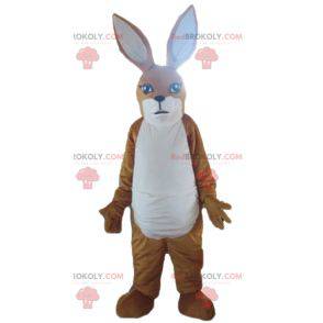 Rabbit brown and white kangaroo mascot - Redbrokoly.com