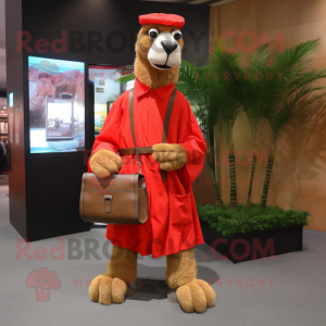 Red Camel maskot kostyme...