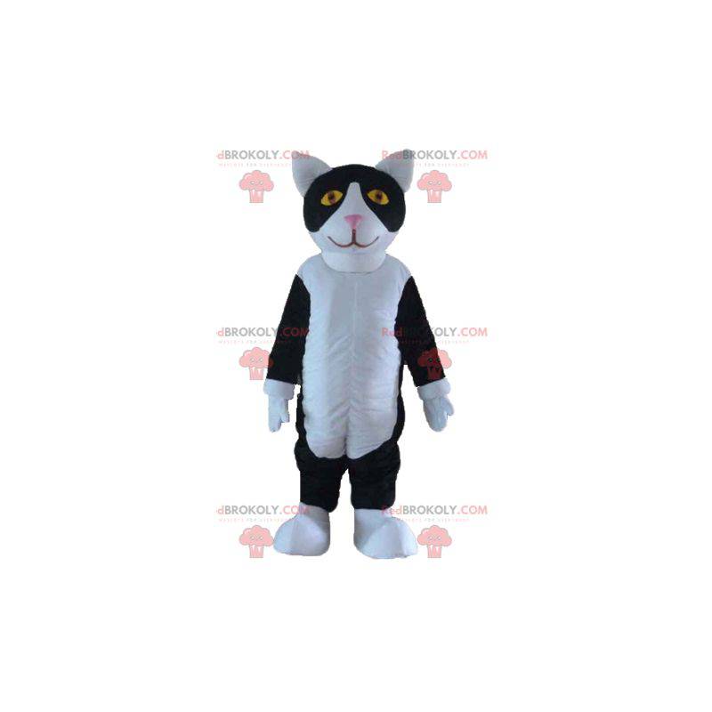 Mascote gato preto e branco com olhos amarelos - Redbrokoly.com