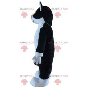 Mascote gato preto e branco com olhos amarelos - Redbrokoly.com