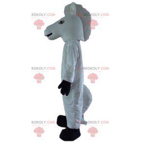 Wit en zwart paard eenhoorn mascotte - Redbrokoly.com