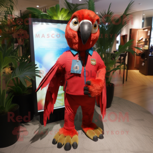 Rød Macaw maskot kostume...